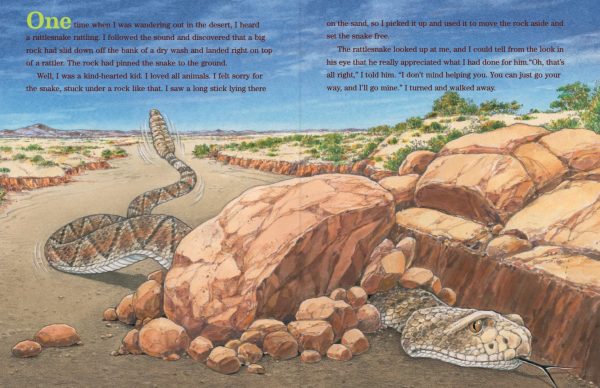 Interior spread #2 for My Pet Rattlesnake by Joe Hayes and Antonio Castro L.